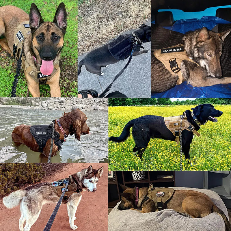 Peitoral para Cachorro Militar- Resistente