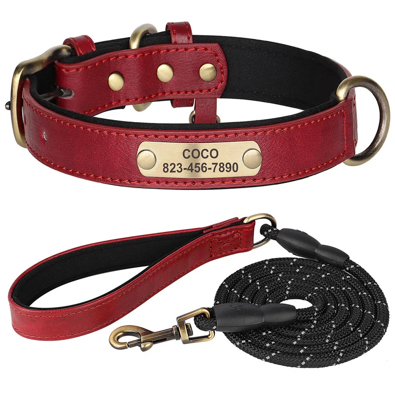 Guia e Coleira Personalizada de Identificação de Couro para Cães e Gatos