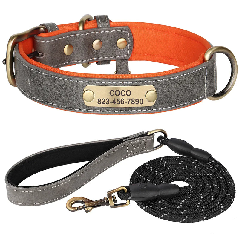 Guia e Coleira Personalizada de Identificação de Couro para Cães e Gatos