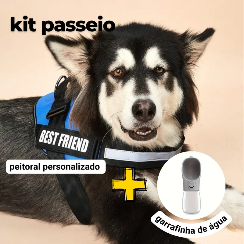 Peitoral Personalizado Personalizado E ganhe a Garrafa de água Portátil - Kit passeio Abelhinhas Pets