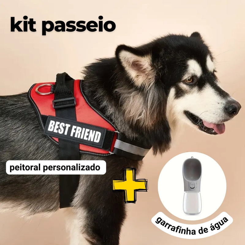 Peitoral Personalizado Personalizado E ganhe a Garrafa de água Portátil - Kit passeio Abelhinhas Pets