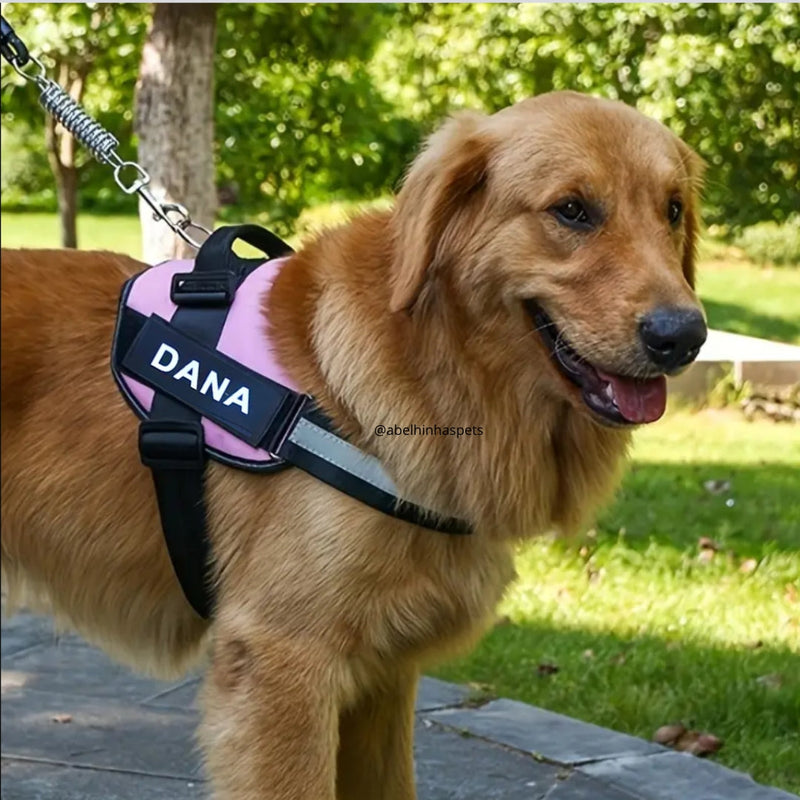 Peitoral Personalizado Personalizado E ganhe a Garrafa de água Portátil - Kit passeio Abelhinhas Pets