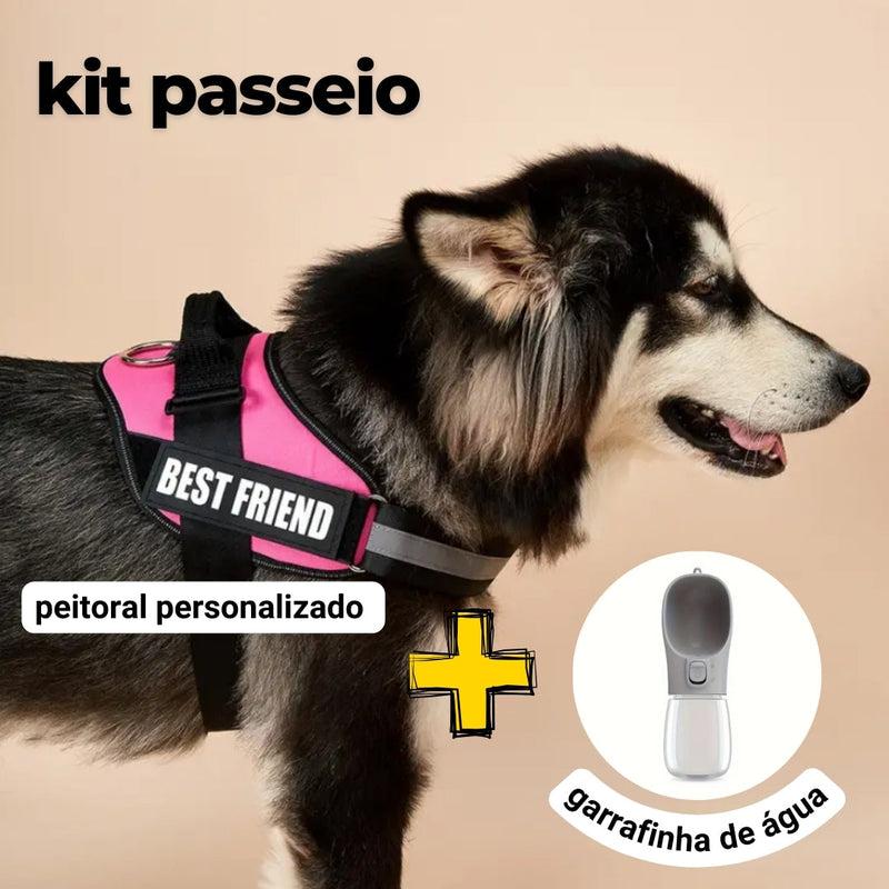 Peitoral Personalizado Personalizado E ganhe a Garrafa de água Portátil - Kit passeio Abelhinhas Pets