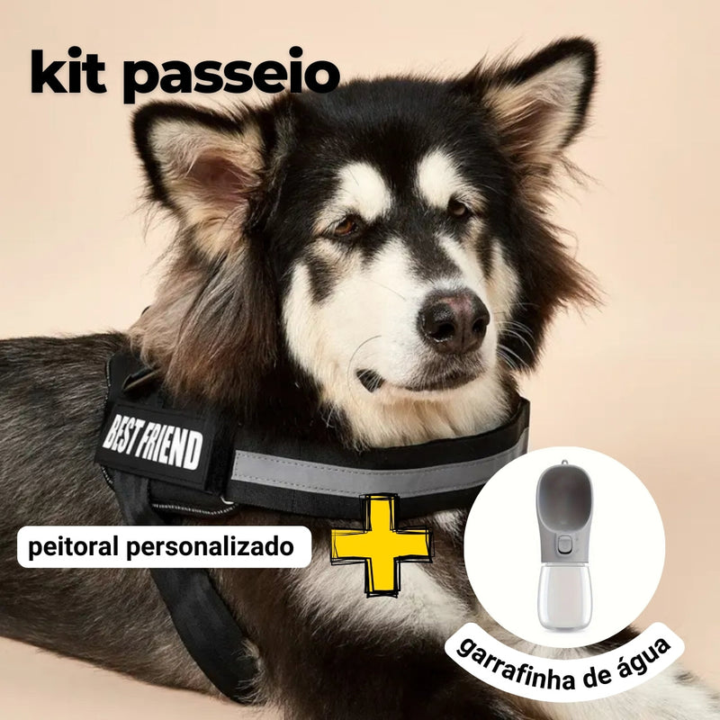 Peitoral Personalizado Personalizado E ganhe a Garrafa de água Portátil - Kit passeio Abelhinhas Pets