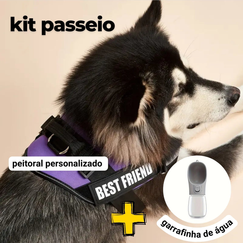 Peitoral Personalizado Personalizado E ganhe a Garrafa de água Portátil - Kit passeio Abelhinhas Pets